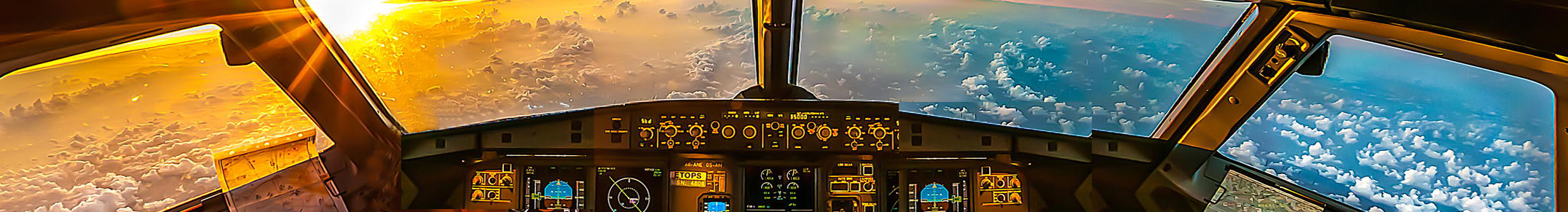 Pilot Login